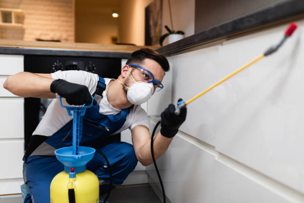 Best Pest Control Near Me  in Villa Park, CA
