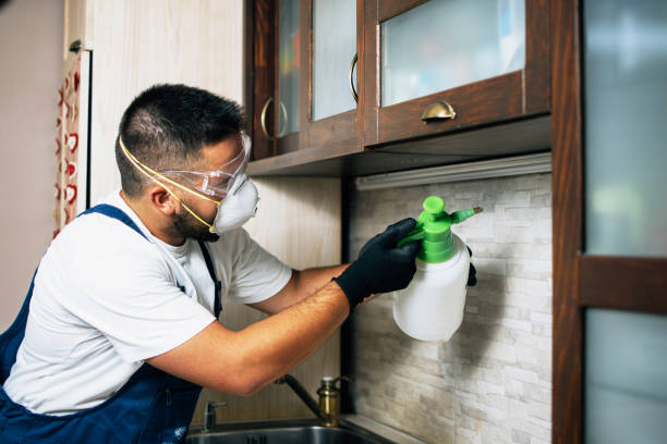 Best Pest Control Near Me  in Villa Park, CA