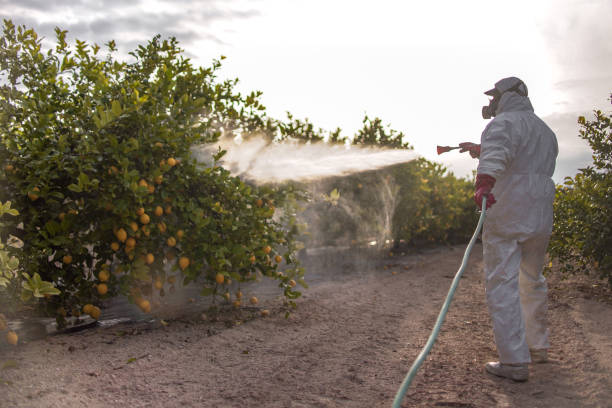Best Pest Removal Services  in Villa Park, CA