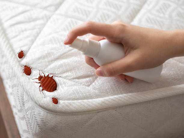 Trusted Villa Park, CA Pest Control Experts