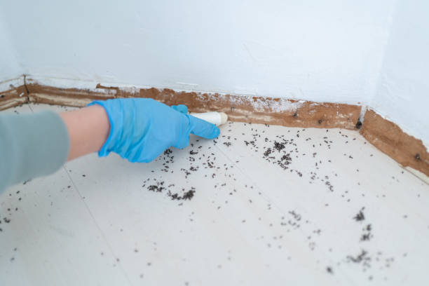 Best Commercial Pest Control Services  in Villa Park, CA