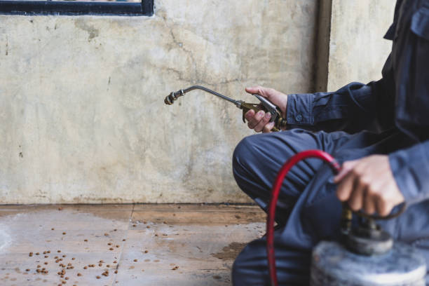 Best Best Pest Control Near Me  in Villa Park, CA